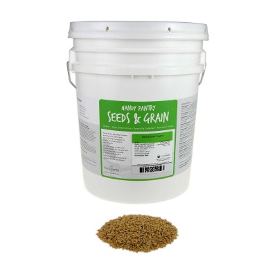 Organic Barley Seeds - 25 Lbs - Whole (Hull Intact) Barleygrass Seed - Ornamental Barley Grass, Juicing - Grain for Beer Making, Emergency Food Storage & More   566929333